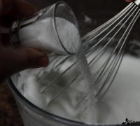 bizcocho de soletilla sin azúcar (2)