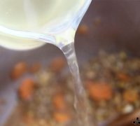 Crema de lentejas y zanahoria (5)